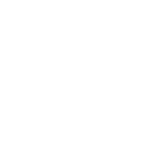 Maria Clarice Leilões